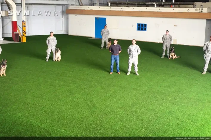image of dogs in military training on artificial pet grass